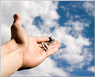 Scaffolding Services